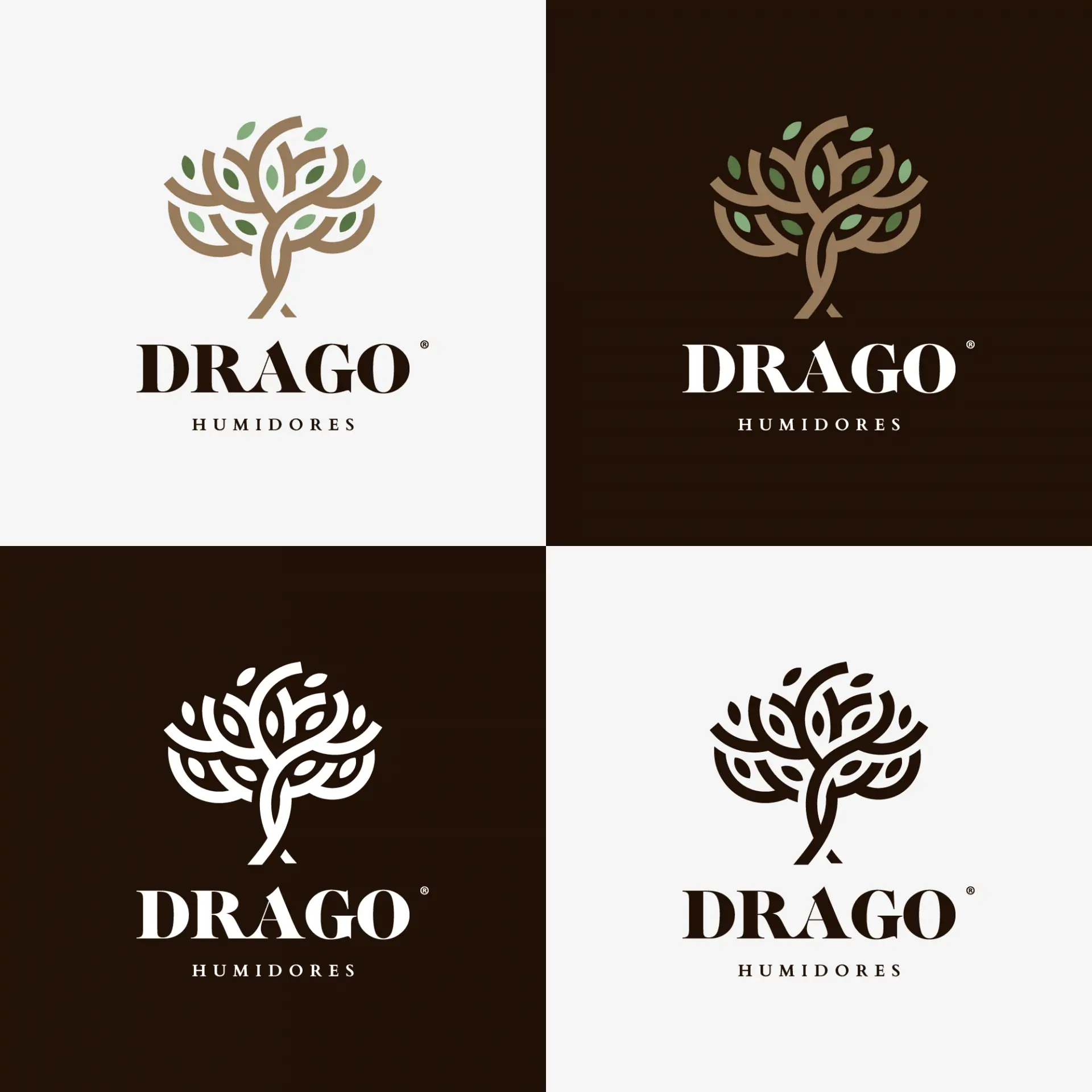 Diseño de logo Drago Humidores